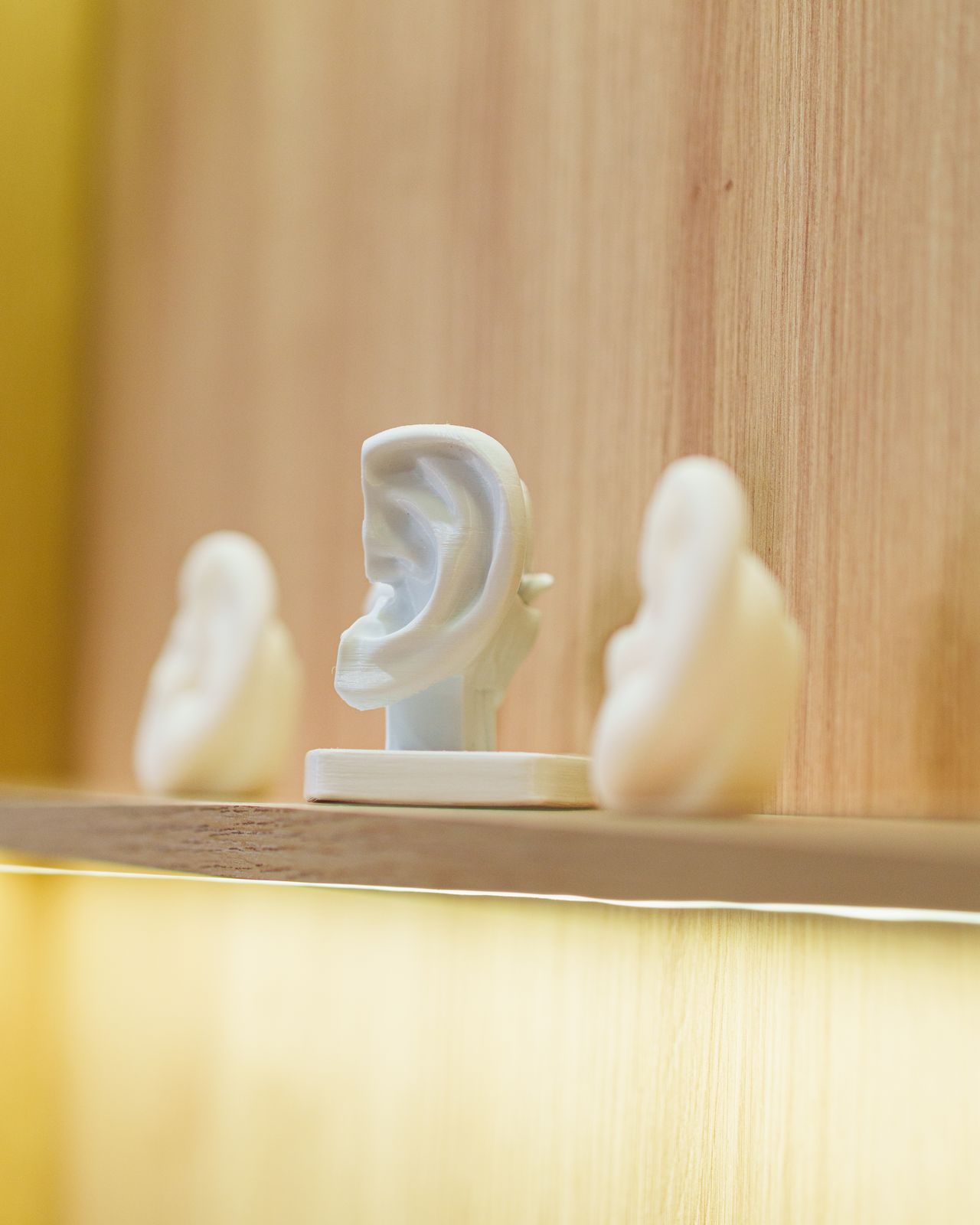 Estrutura Audiostore, moldes de orelha em exposição